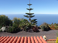 2011_Blick vom Dach der 'CASA CONCHITA' Richtung Meer; rechts neben der Tanne ein gemtliches Holztischchen mit 2 kleinen Sitzbnken; herrlicher Platz, insbesondere bei Sonnenuntergang