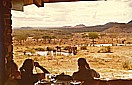 TANSANIA 71_'Lake-Manyara-Lodge'_ Whisky-schlrfen und Elefanten beobachten_Jochen A. Hbener