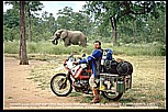 ZIMBABWE_my "3-elephants"-photo: heavy BMW motorcycle,  elephant and Jochen_what an experience, what a feeling_motorcycle-trip through Eastern-, Central- and Southern AFRICA (Nairobi-Capetown) 1990-91_Jochen A. Hbener