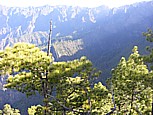 Nach einer etwa halbstndigen Wanderung von der Cumbrecita (1312m) aus gelangt man zum 'Mirador de las Chozas' (1284m) : hier hat man einen herrlichen Einblick in die 'Caldera de Taburiente' und gewinnt eine Vorstellung von den gewaltigen Dimensionen dieses Kraterkessels