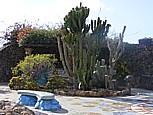 'Plaza Glorietta', Schmuckstck von 'Las Manchas de Abajo', Werk des Knstlers Luis Morera, Snger der Gruppe 'Taburiente' : Mosaiken stellen Tiere und Pflanzen dar, zum Verweilen, Relaxen laden auch eine geschmackvolle Auswahl heimischer Pflanzen sowie der Springbrunnen ein, man sitzt auf Mosaikbnken ... von dort ein herrlicher Blick hinauf zu den Bergen