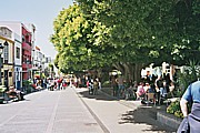 gemtliches Relaxen auf der 'Plaza de Espaa' im Zentrum der 'heimlichen' Hauptstadt v. LA PALMA, in 'Los Llanos de Aridane', in den 2 Strassen-Cafs, unter indischen Lorbeerbumen ...