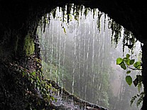 Eine zwar etwas strapazise, aber sehr eindrucksvolle, ja, abenteuerliche  Wanderung zu den 'Marcos y Cordero-Quellen', i. d. Nhe von Los Tilos bzw. Los Sauces im Nordosten La Palmas_auf dem Weg geht man u.a. an Wasserkanlen entlang, durch wasserfhrende Tunnel hindurch, man passiert Kiefern, geht durch Lorbeerwald, vorbei an Ginster, Zistrosen, anderen Bltengewchsen, Farnen, Efeugirlanden, eine insgesamt sehr ppige, urwaldartige Flora ... hier: Blick aus einer ffnung eines wasserfhrenden Kanals