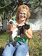 Conchita mit den spteren Katzen-Eltern 'Tranquilo' und 'Artista' auf dem Gelnde der casa Jochen in Todoque, Isla LA PALMA 2008 