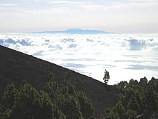 Auf der langen, aber sehr reizvollen Wanderung entlang des Kamms der Insel 'La Palma', entlang der sogen. 'Ruta de los Volcanes', Blick hinber zur kanarischen Insel 'Teneriffa'_2007