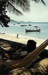  ... diese Aussicht ... von der Hngematte aus ... den ganzen Tag ber ... tagelang ... einfach fantastisch ... Isla Margarita, VENEZUELA 1984_Jochen A. Hbener