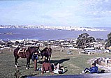 1986_working  as a short-time-expert in Montevideo at the Ro de la Plata, URUGUAY; task of my work: 'improvement of URUGUAYs economic forecasts'_here: the bay of Montevideo from the 117m high hill 'CERRO', 'Parque del Cerro'_Jochen A. Hbener 