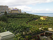 Tazacorte (pueblo), Blick von der Promenade aus