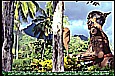 1996_POLYNESIA_MOOREA_a huge warrior, made out of wood, in tropical area, close to the beach on my so loved exotic island, vis-a-vis TAHITI_my motorcycle-trip around the world 1995-96_Jochen A. Hbener