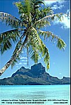 1996_POLYNESIA_Bora Bora_finding a paradise_view from a ... so called ... motu (island)_my motorcycle-trip around the world 1995-96_Jochen A. Hbener